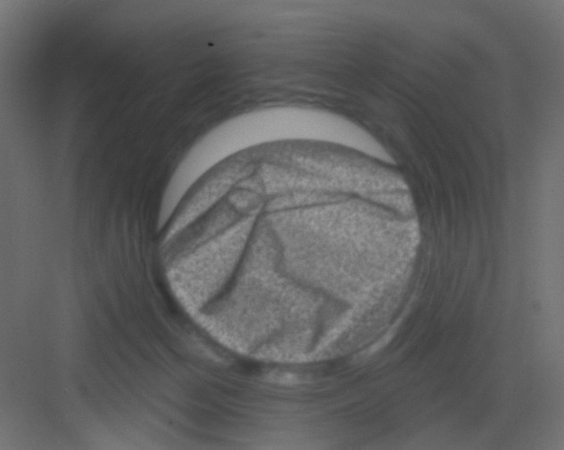 X0000081320174200702082145