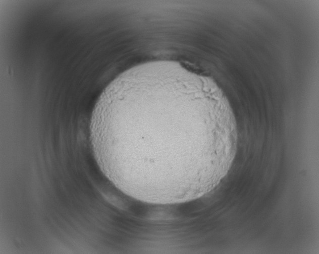 X0000081320175200702082145