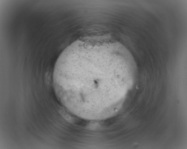 X0000081320177200702082145