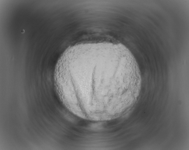 X0000081320178200702082145