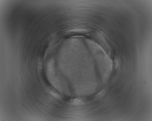 X0000081320180200702082145