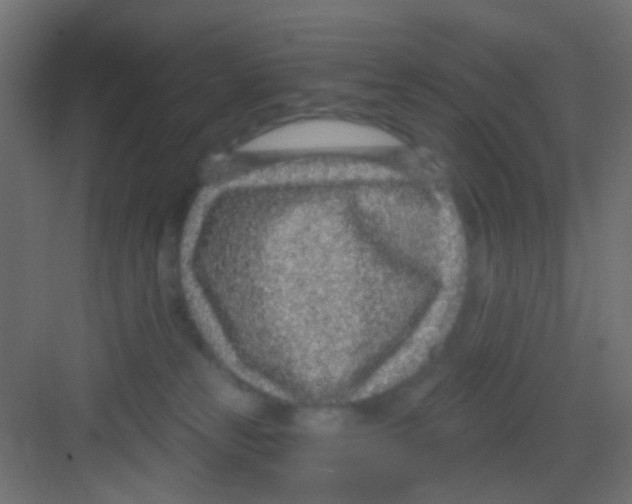 X0000081320181200702082145