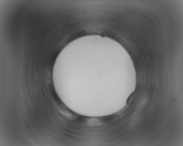 X0000081320183200702082145