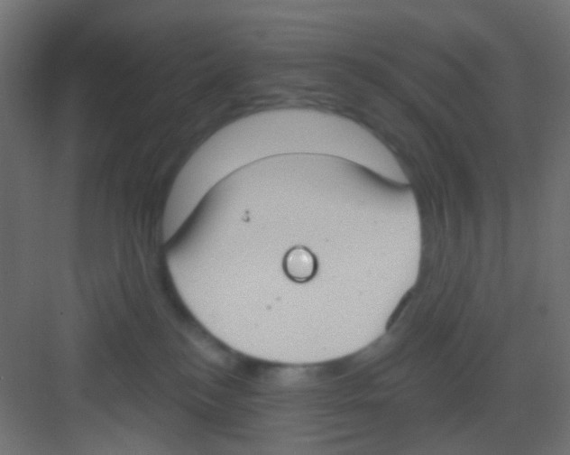 X0000081320184200702082145