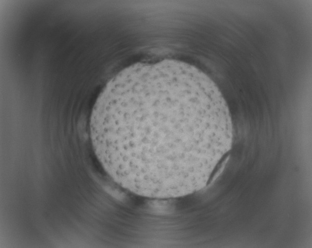 X0000081320187200702082145