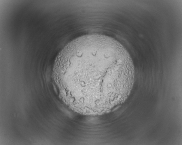 X0000081320189200702082145