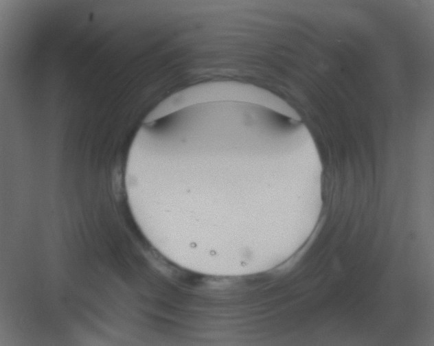 X0000081320190200702082146