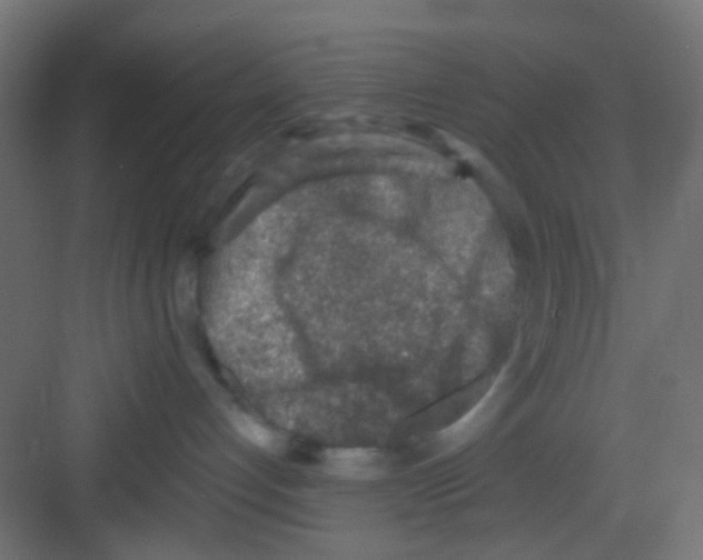 X0000081320192200702082146