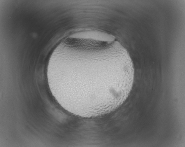 X0000081320194200702082145