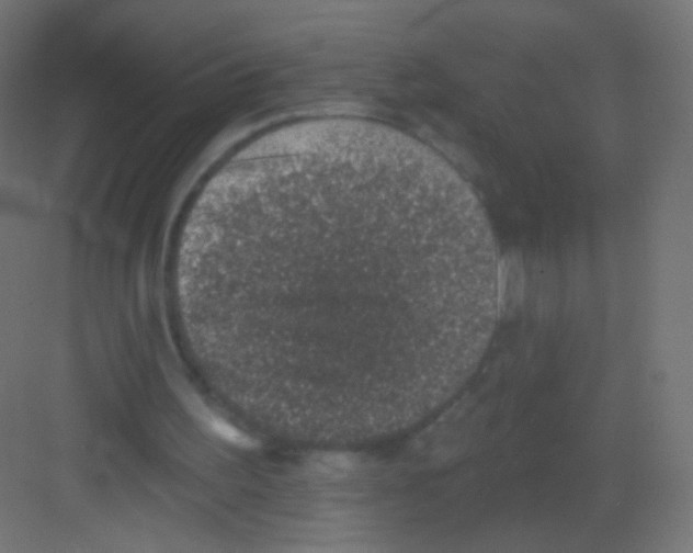 X0000081320195200702082145