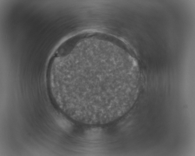 X0000081320196200702082145