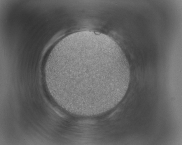 X0000081320198200702082145