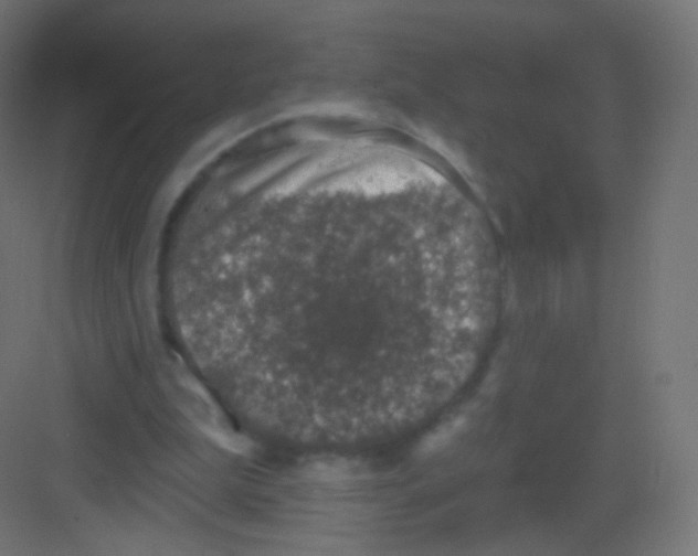 X0000081320199200702082145