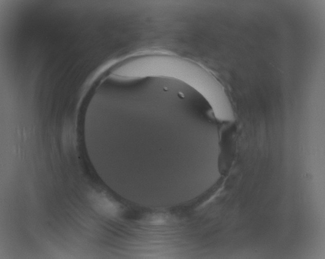 X0000081320200200702082145