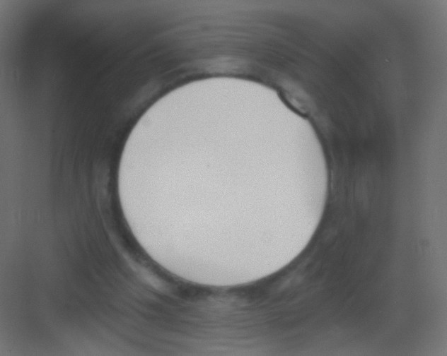 X0000081320201200702082145