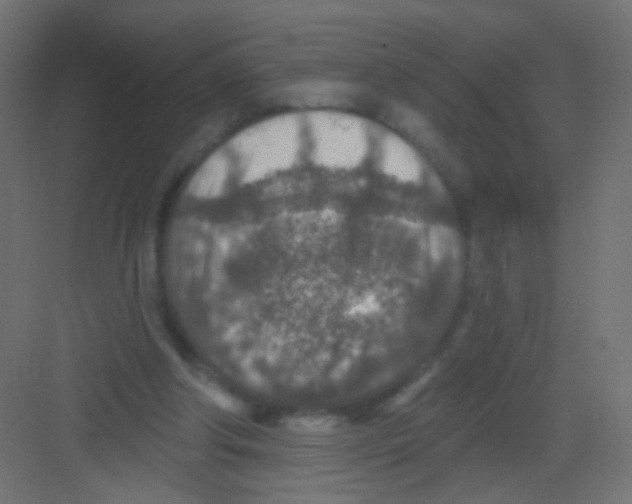 X0000081320202200702082145