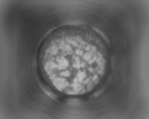 X0000081320203200702082145