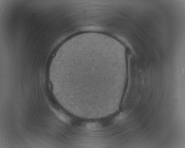 X0000081320204200702082145