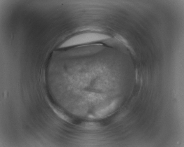 X0000081320205200702082145