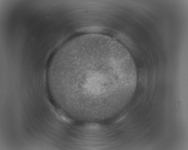 X0000081320206200702082145