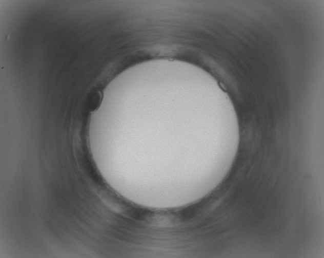 X0000081320209200702082144