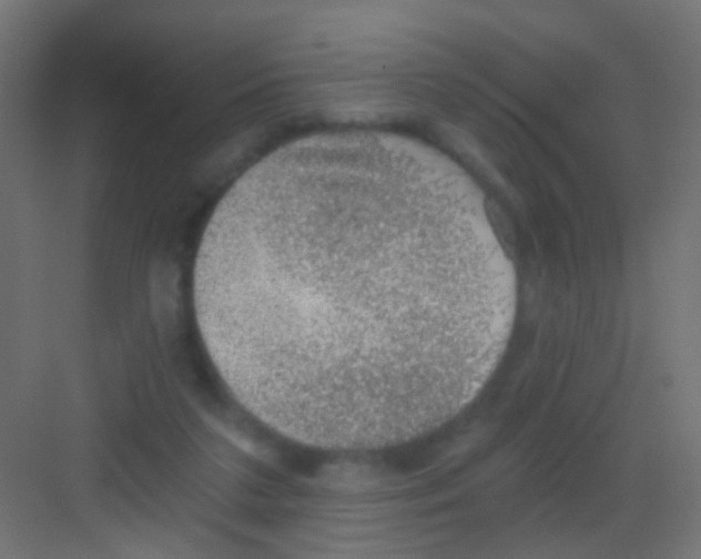 X0000081320211200702082144