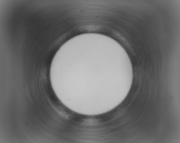 X0000081320212200702082144