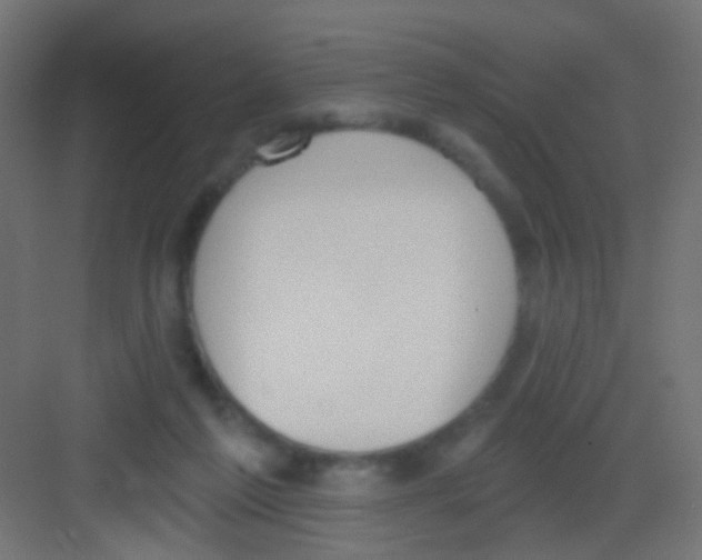 X0000081320213200702082144