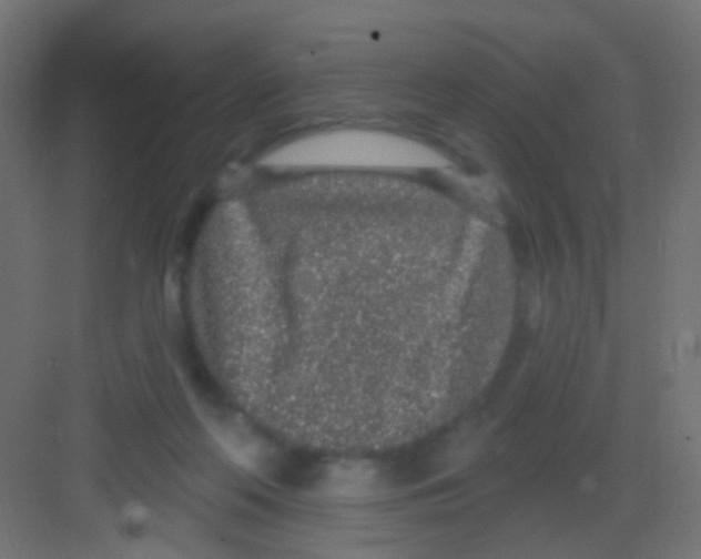 X0000081320214200702082144