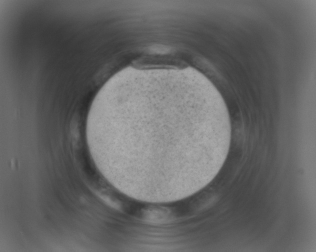 X0000081320215200702082144