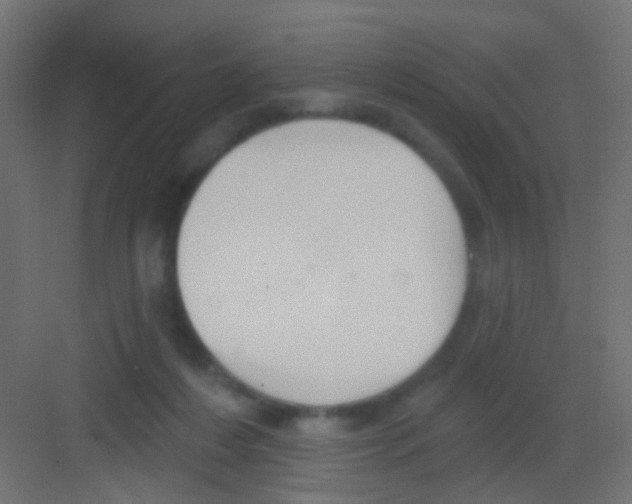 X0000081320216200702082144