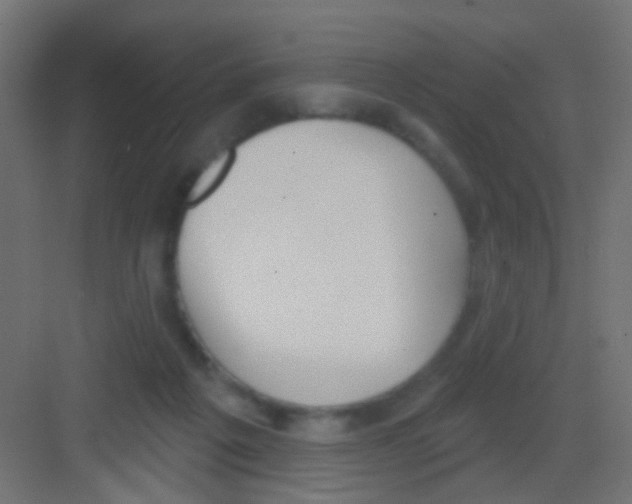 X0000081320217200702082144