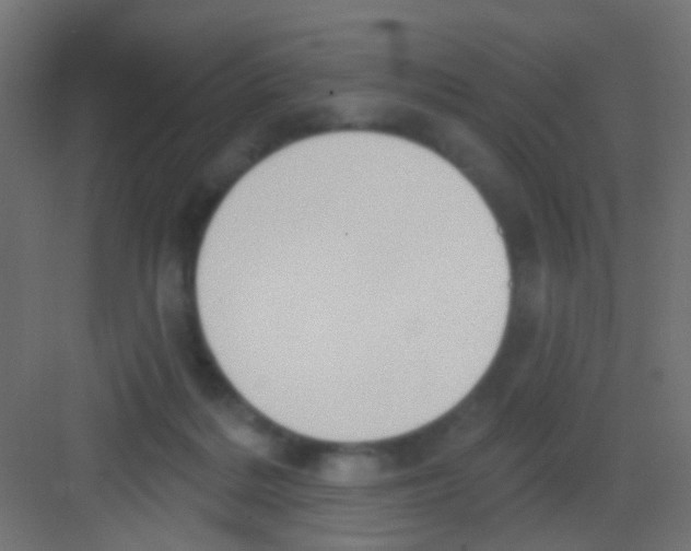 X0000081320220200702082144