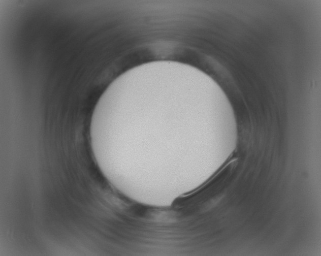 X0000081320221200702082144