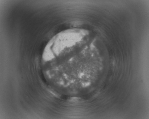 X0000081320222200702082144