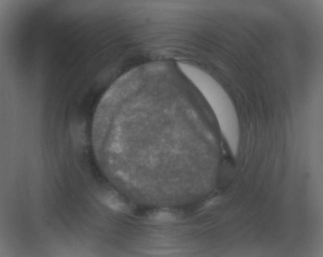 X0000081320224200702082144