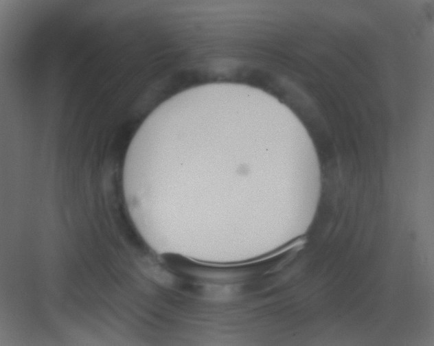 X0000081320225200702082144