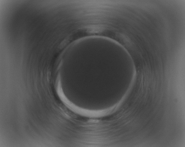 X0000081320227200702082144