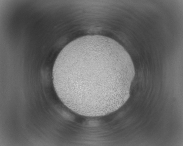 X0000081320228200702082144