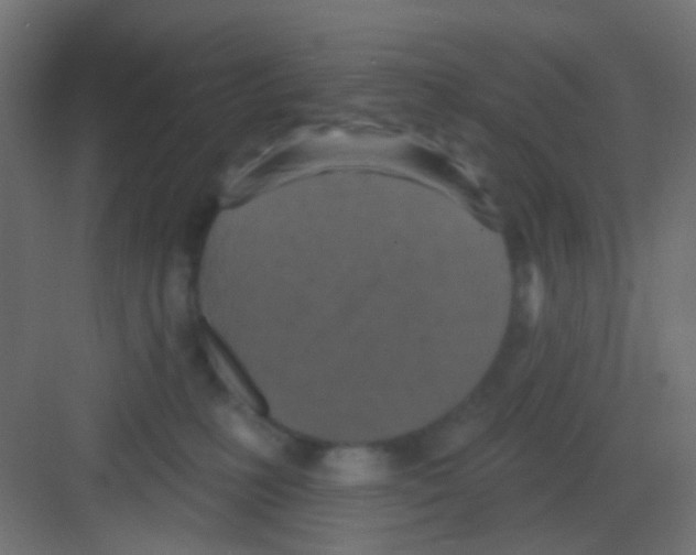 X0000081320231200702082144