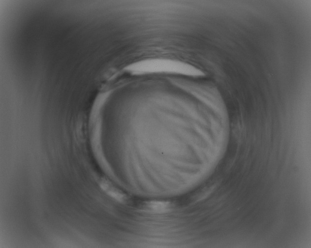 X0000081320233200702082144