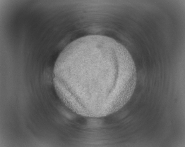 X0000081320234200702082144