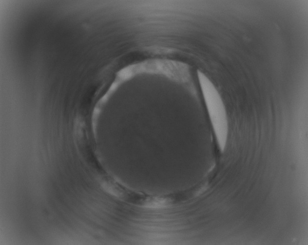 X0000081320235200702082144