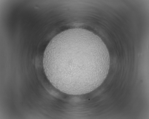 X0000081320236200702082144