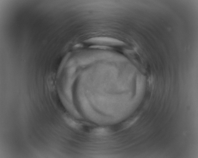 X0000081320237200702082144