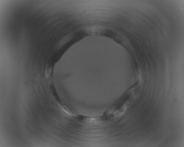 X0000081320239200702082144