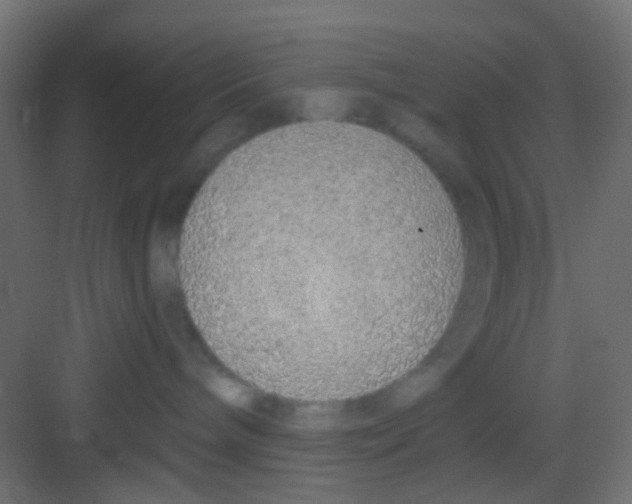 X0000081320240200702082144