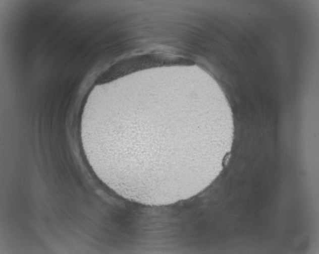 X0000081320241200702082143