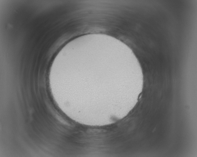 X0000081320242200702082143