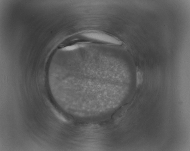 X0000081320243200702082143